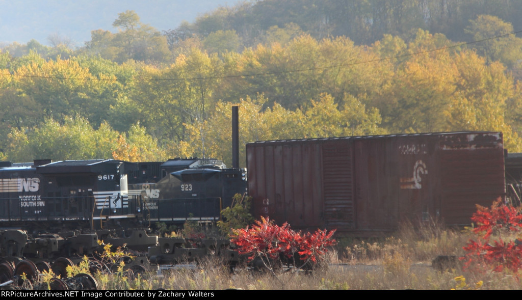 NS 4043 923 9617
